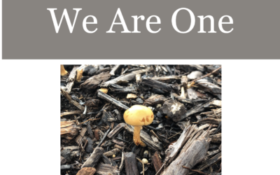 June 2022 – We Are One